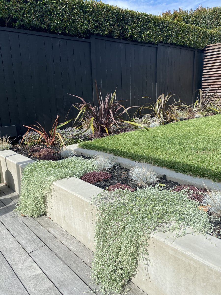 landscaping, Landscape Projects, BlackBird Projects
